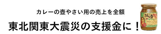 東北関東大震災支援　カレーの壺　