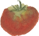 本格カレー　カレーの壺　トマト