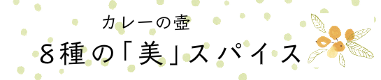 カレーの壺　美　スパイス