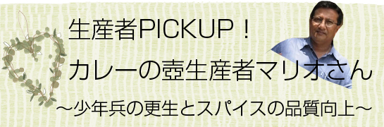 本格カレー　「カレーの壺」