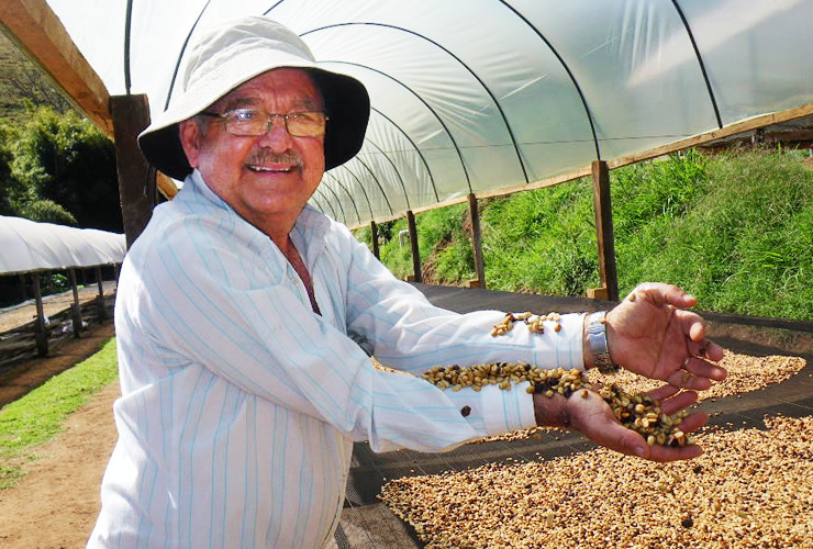 パウリーニョ農園（フェアトレードコーヒー）生産者紹介