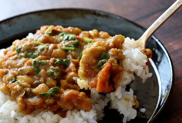 とろとろなすのカレー