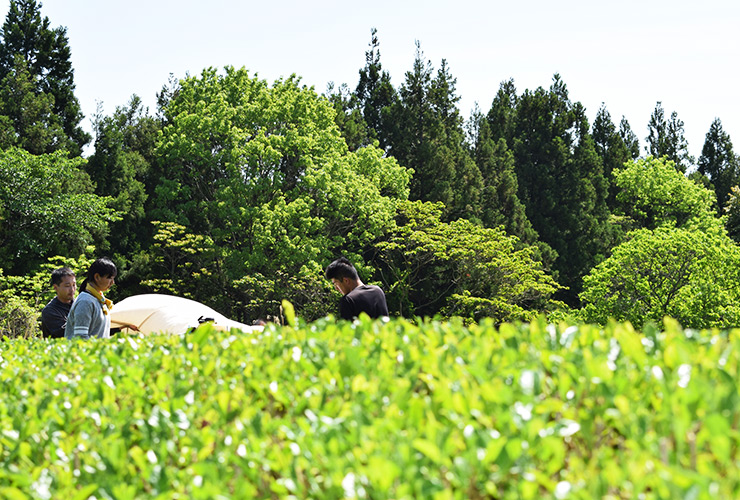 山口県で活動する学生耕作隊のメンバー