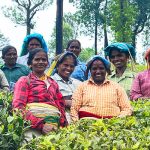 こだわりの食品 生産者紹介 パラライ農園