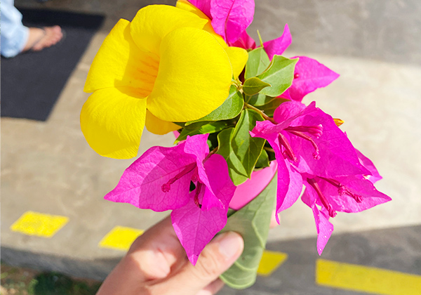 歓迎のお花